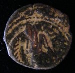 DSCF4436.JPG