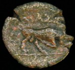 DSCF4701.JPG