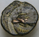 DSCF9619.JPG