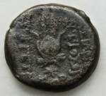 Seleucides. Antiochos VII Evergetes (-138 à -129). Buste d'Eros et coiffe d'isis AN 175 RV.JPG
