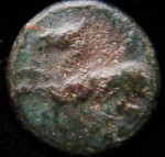 DSCF5446.JPG